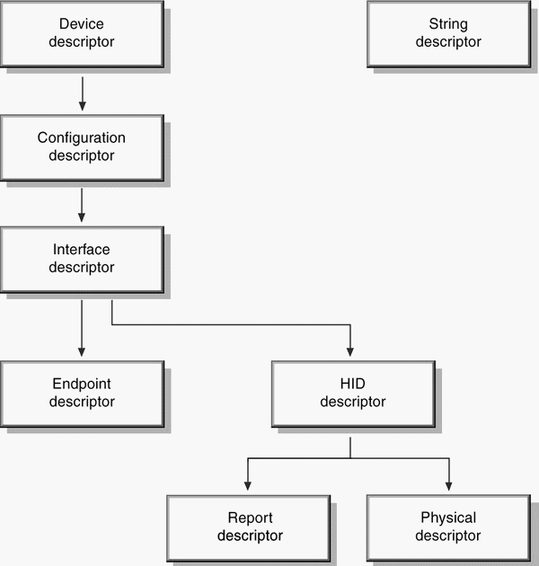 USB HID Structure