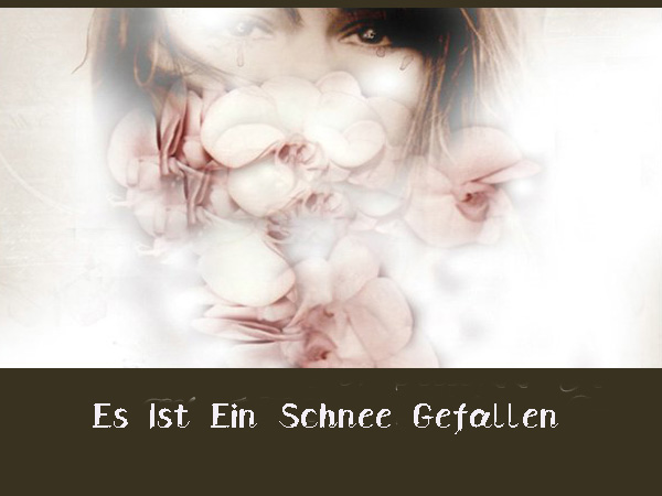 【歌曲推荐】es ist ein schnee gefallen  - Adaro