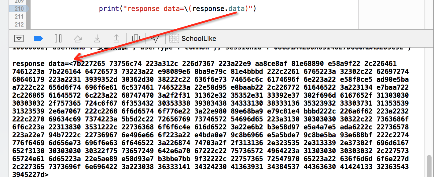 printed nsdata on xcode