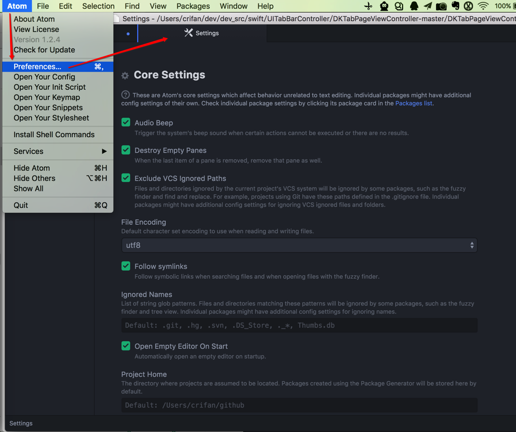 atom preferences core settings