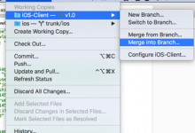 ［记录］Xcode 中git merge branch合并分支到master主干上