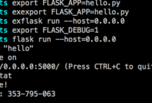 ［已解决］CentOS中运行Flask出错：Error Could not locate Flask application You did not provide the FLASK_APP environment variable