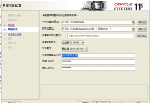 【未解决】Oracle 11g安装时如何设置全局数据库名