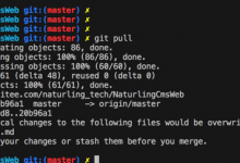 【已解决】git pull出错：error Your local changes to the following files would be overwritten by merge