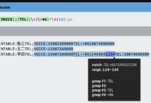 【问题解答】Python提取一个或多个电话号码