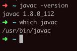 【已解决】Mac中确认是否已成功安装JDK