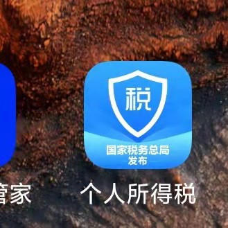 【记录】个人所得税app中收入纳税明细查询