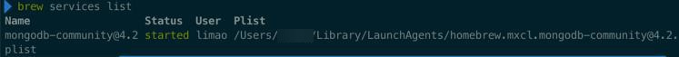 【已解决】Mac中查看当前MongoDB的服务的状态是否正在运行