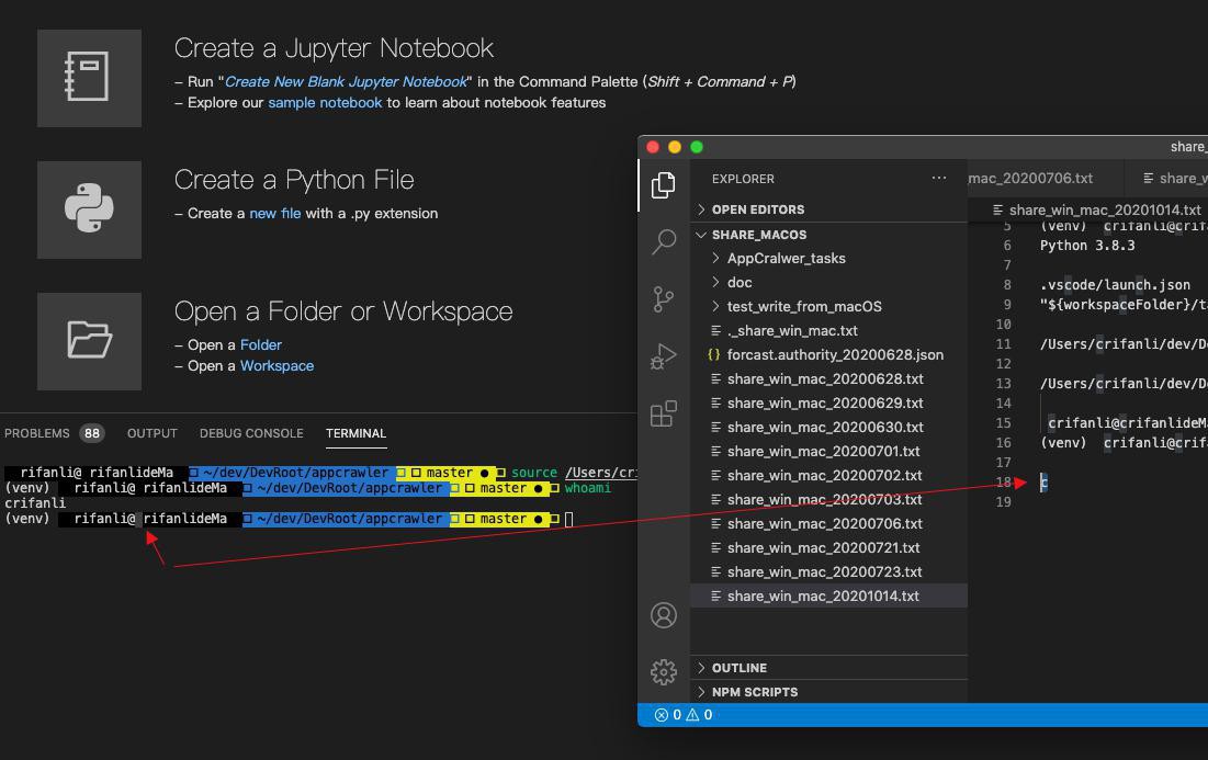 【基本解决】Win10中VMWare中macOS中VSCode的终端中部分字母如c或s不显示