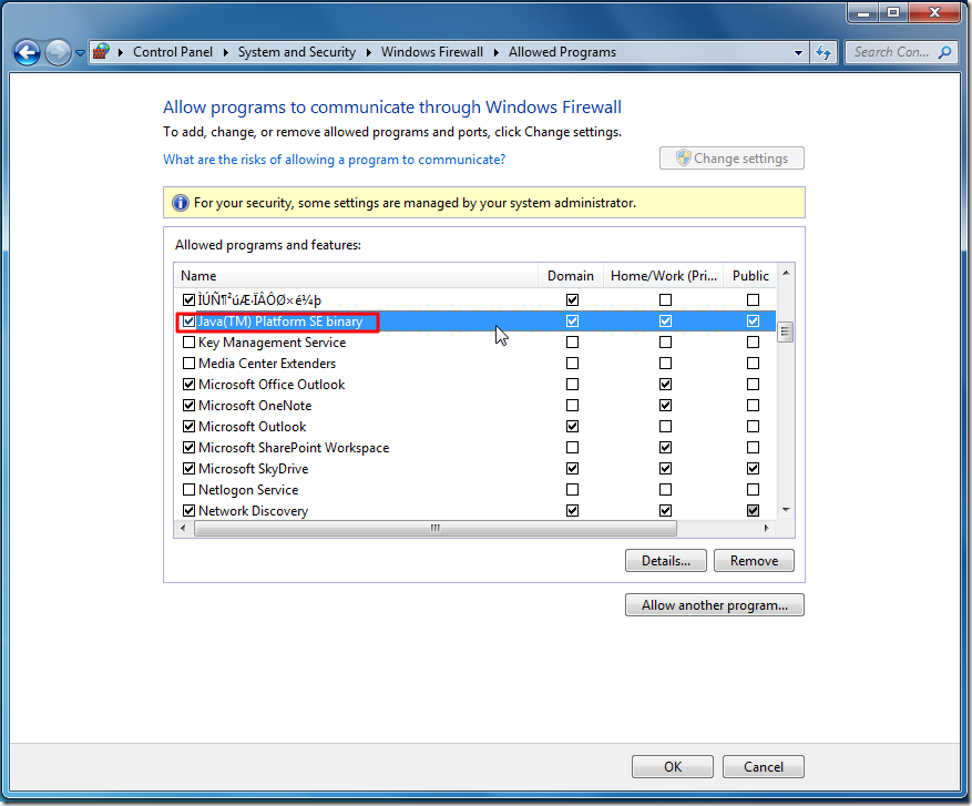 java tm allow network