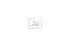 【吐槽】中行信用卡美元还款很麻烦